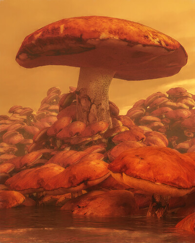 mushrooms-ps