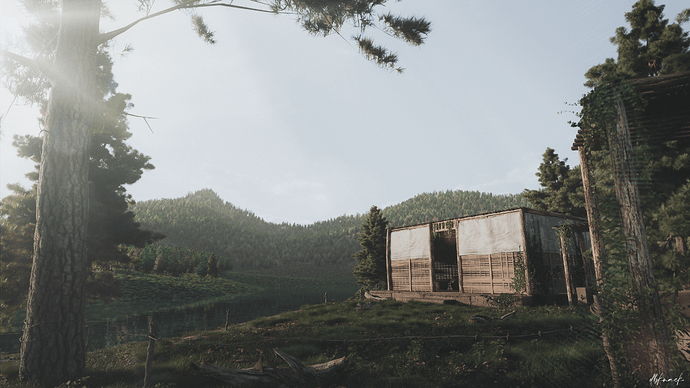 cabin in woods_v1