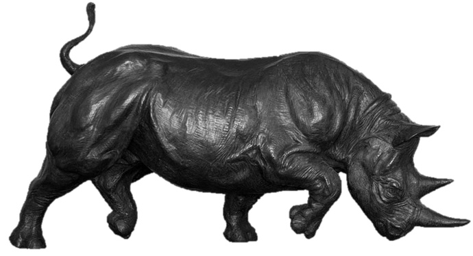 rhinoceros_turned_into_stone_by_maximumanimal2111_dc5lx9z-fullview