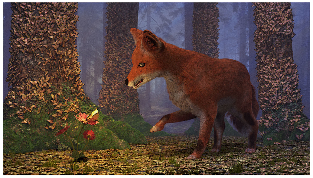 the fox in the forest amazon