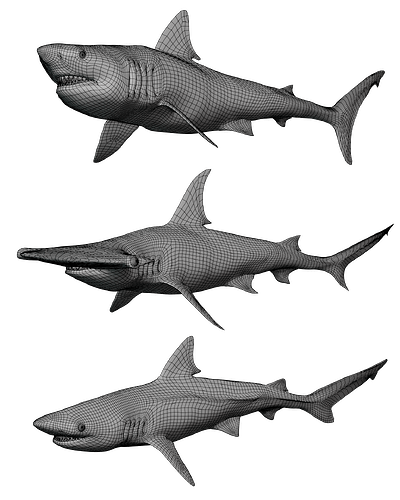 Shark Animation Keyframes Animated Sharks - Animations - Blender Artists Community