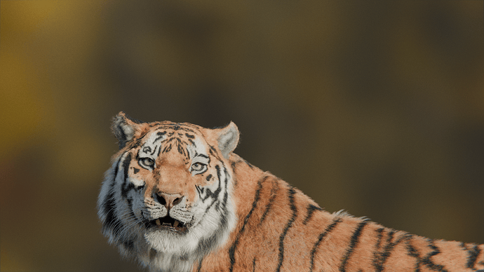 Tiger Lounge 2
