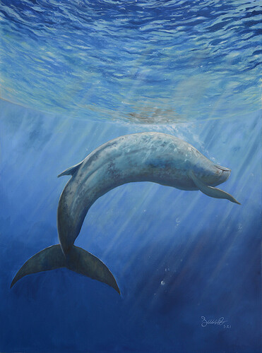 Young Blue Whale-1200