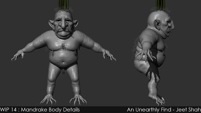 14_1_Mandrake_Body_Details