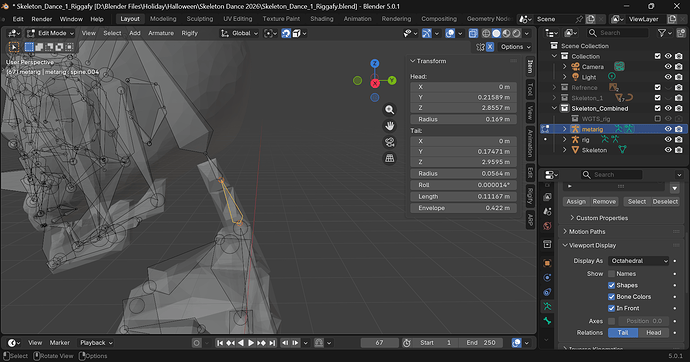 Spine_4 Highlighted