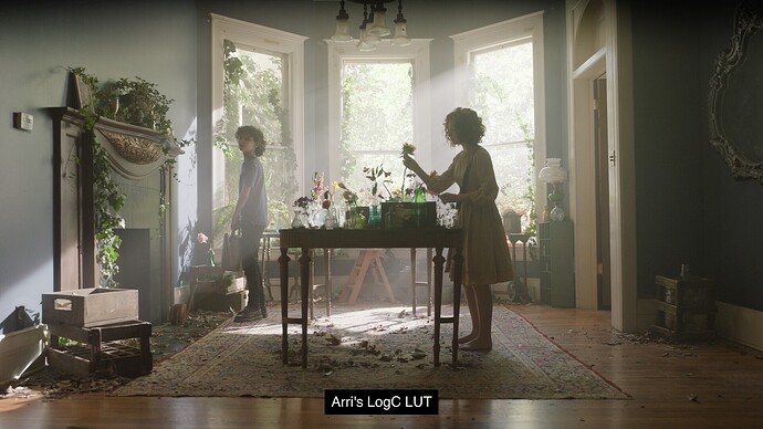 arri lut