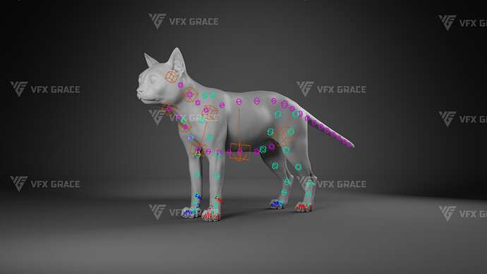 JF0O740A_BritishShorthair_Rig05