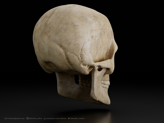 skull_03_D