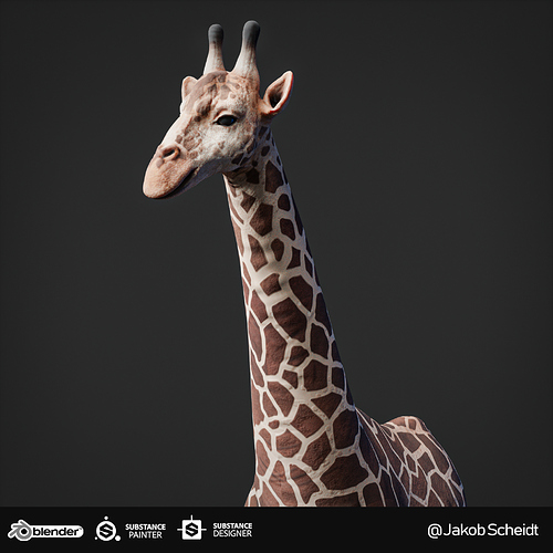 Giraffe_02