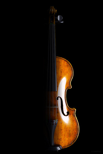 Violin_T22