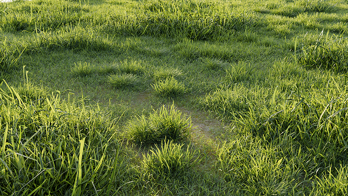 grass