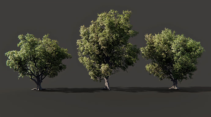Screenshot_54