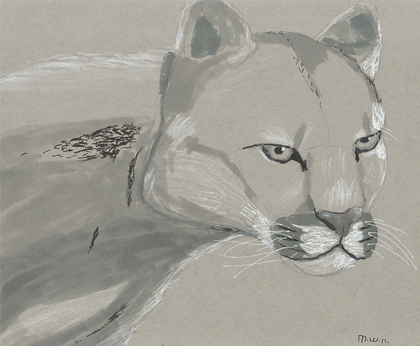 My Cougar in Ink Marker WhiteCharcoal
