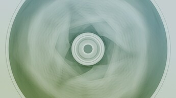 008