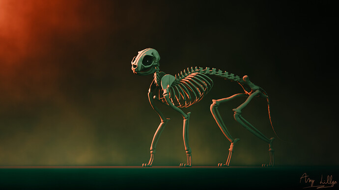 Skeleton Cat 1