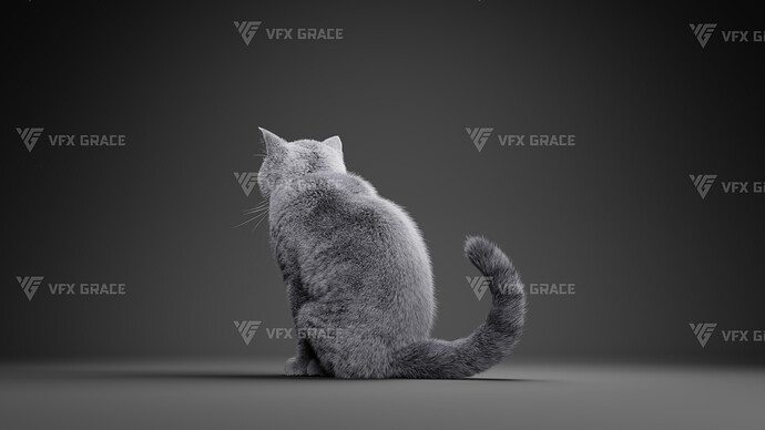 JF0O740A_BritishShorthair_Effect map04
