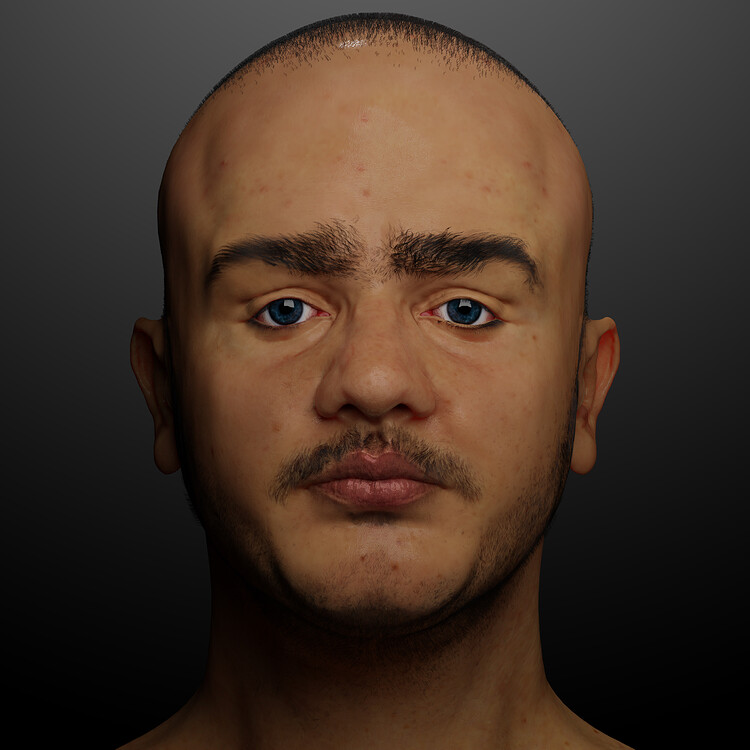 blender human face model download