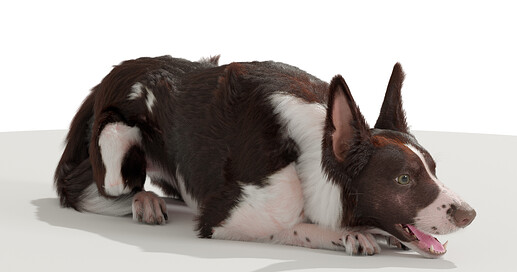 BexRender6 copy