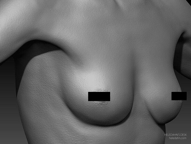 heledahn-new-skin-details-chest