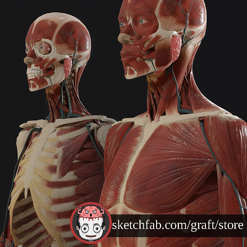 Anatomy_2019_promo_5