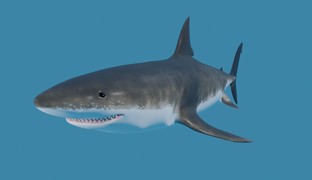 Shark - Finished Projects - Blender Artists Community