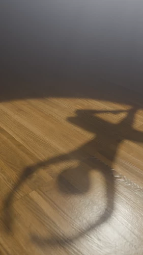 Shadow of a ballet dancer cast on a wooden floor