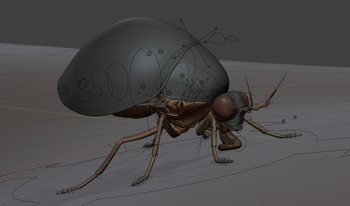 03_diptere-celyphidae