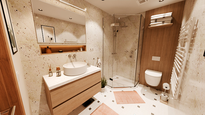 camera_bathroom_01