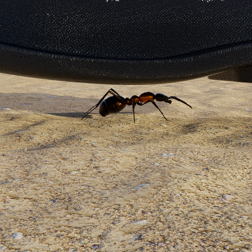 ant