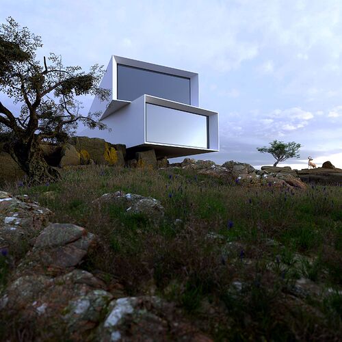 Wild_house_1