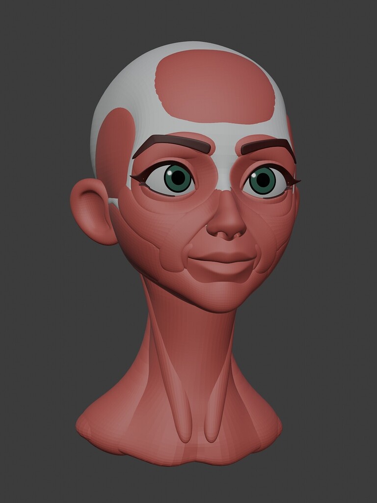 Stylized Head *Anatomy - Finished Projects - Blender Artists Community