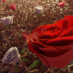 0601EXR - My Red Rose