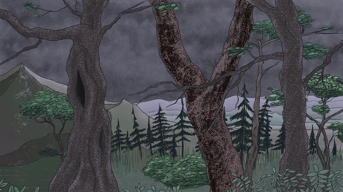 002-Forest