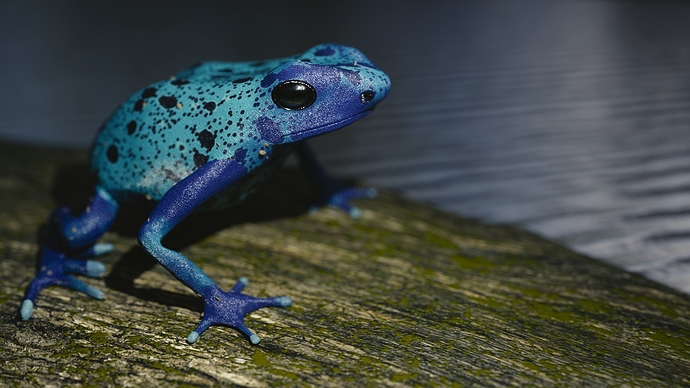 Poison_Blue_Arrow_Frog