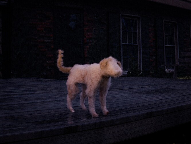 kless-gyzen-cursed-dog2