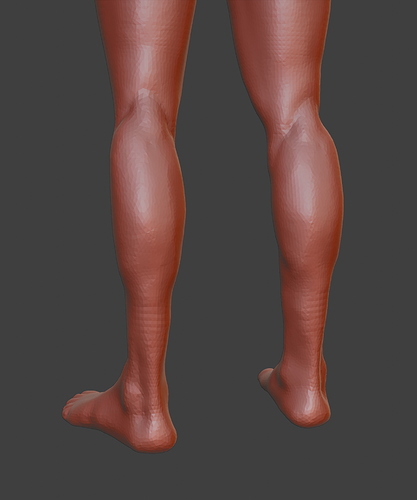1-posterior-legs