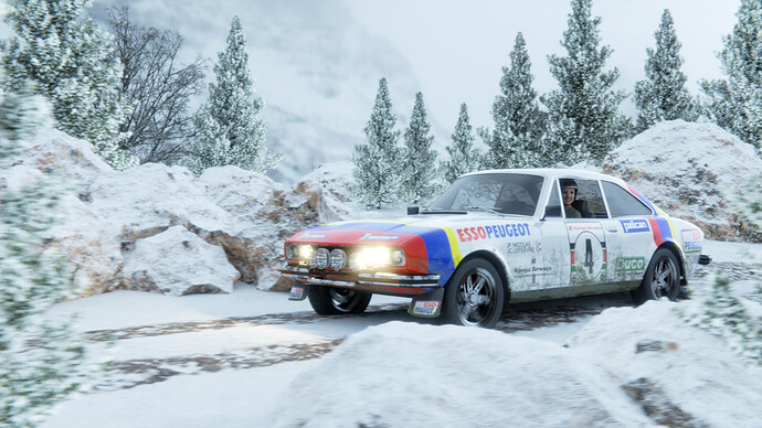 Peugeot_504_Rallye