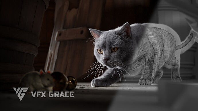 JF0O740A_BritishShorthair_Display_Think_04