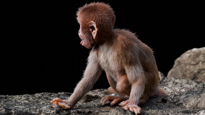 Baby monkey4
