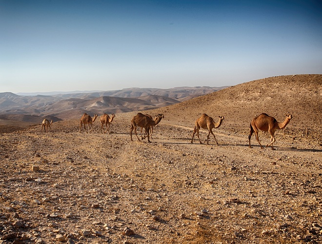 dead-sea-1930707