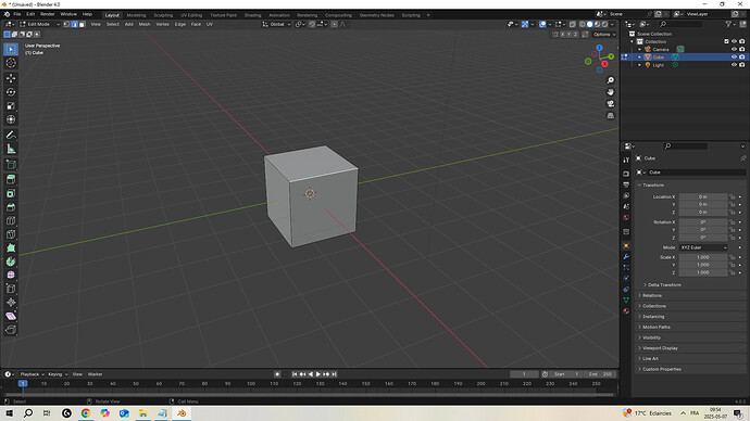 Issue with edit mode - Technical Support - Blender Artists Community