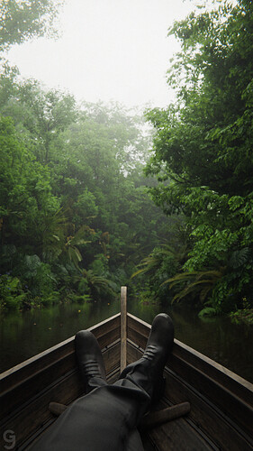 rainforestCfinaljpg