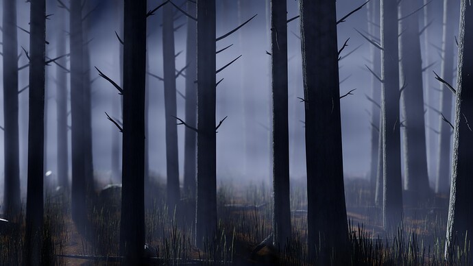 pine_forest_2