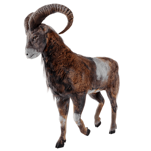 Ovis transparent 2.2