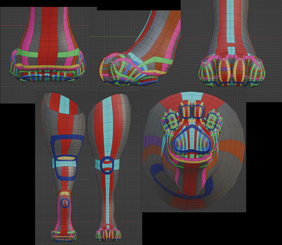 leg topology study