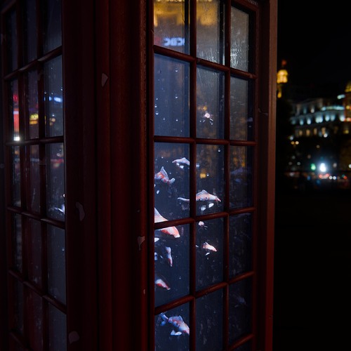 Phone booth fish 1b