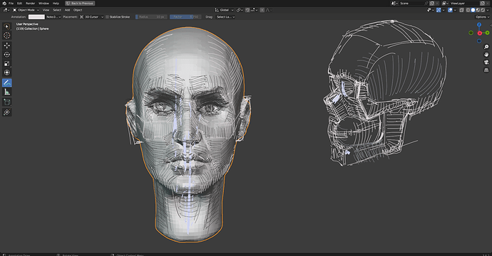 head_anatomy_4