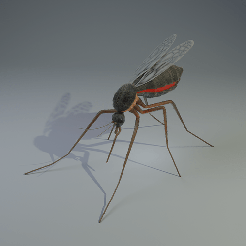 render1
