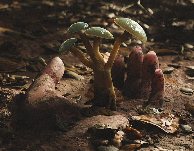 Mushroom_03b