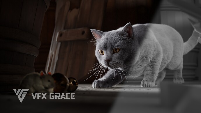 JF0O740A_BritishShorthair_Display_Think_03